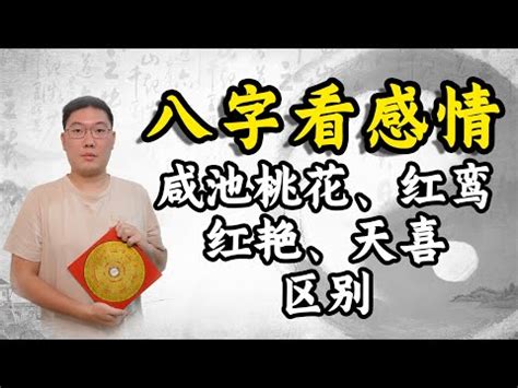 紅艷桃花查詢|桃花運測試